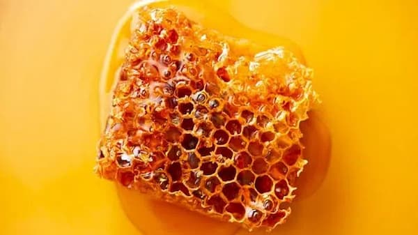 عسل گون خام مرغوب شیرینی سرشار از ویتامین‌